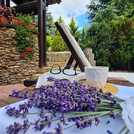 Orbilux 3* バンスコ