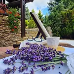 Orbilux 3* Μπάνσκο